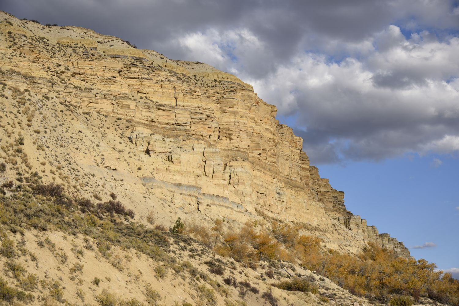 The banded cliffs of Fossil Butte above the sagebrush.